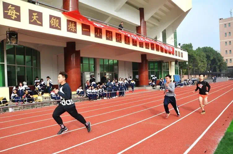网球拍避震节怎么装